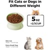 LoeJan Elevated Cat Food Bowl, 5 Oz Ceramic Raised and