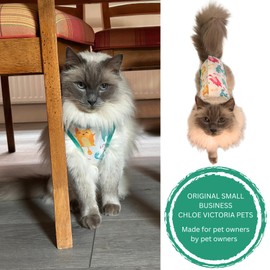 Cat Recovery Suit Surgical Onesie for Post Surgery (Neuter/Spay), Wounds and Skin infections for Male or Female Cats. Comfortable, Safe, (no Loose Cords) Cone Alternative. (Small)