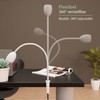 ledscom.de KLUK GU10 Clamp Light with Gooseneck, White with GU10,