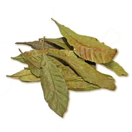 300g whole loquat leaves (domestic) / 참두리 통 비파잎 300g (국내산)