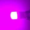 Fenikso 194 Led Bulb Pink 168 T10 2825 5SMD 2827