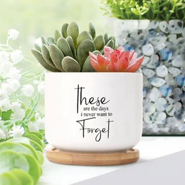 DecStic These are The Days I Never Want to Forget Ceramic Planter Bible Verse Pots for Plants with Drainage Holes and Saucers Pot for Pots Outdoor Indoor Plants