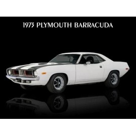 1973 Plymouth Barracuda in White & Black Metal Sign: 12x16" & Ships Free