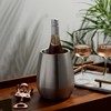Viski Wine Chiller, Double Walled Insulated Wine Bottle Holder, Single