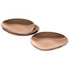 APS Pebbles 40794 Set of 4 Plates Stainless Steel PVD