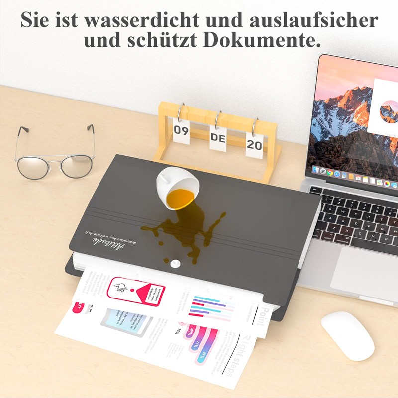 Expanding File A4, Document Folder with 12 Pockets, Document Folder