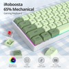 iRoboosta Green Matcha 65% Percent Small Mechanical Keyboard, 68 Key