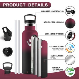 HoneyHolly Thermos Flask, 500 ml, BPA-Free, Stainless Steel, Leak-Proof Insulated Flask, Double-Walled, Children's Stainless Steel, with Straw, Suitable for Carbonated Drinking Bottle