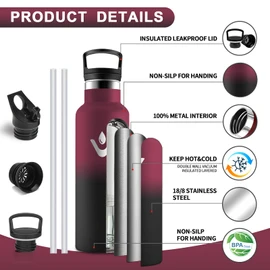HoneyHolly Thermos Flask, 500 ml, BPA-Free, Stainless Steel, Leak-Proof Insulated Flask, Double-Walled, Children's Stainless Steel, with Straw, Suitable for Carbonated Drinking Bottle