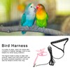 Outdoor Pet Bird Cute Harness Leash Parrots Flying Training Adjustable