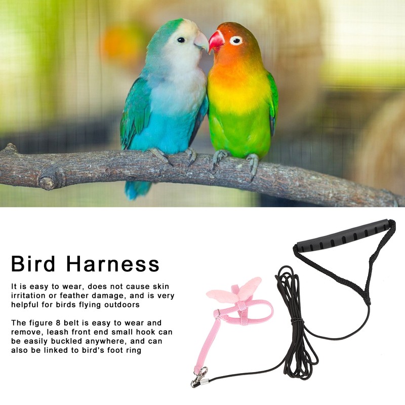 Outdoor Pet Bird Cute Harness Leash Parrots Flying Training Adjustable