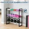 3 Tier Dumbbell Rack, 330 lb Capacity Weight Rack for