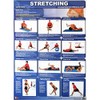 Productive Fitness Posters Stretching Exercise (Upper & Lower Body) for