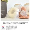 Airy Imabari Towel, Set of 3, Donut Handkerchief, Present, Individual