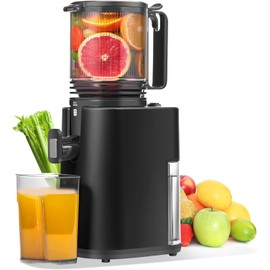 Cold Press Masticating Juicer, 5.4" Wide Feed Chute Juicer Machines for Vegetable and Fruit, Slow Juicer Easy to Clean, Black