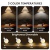 DAZZLUX LED Rechargeable Light Bulbs with Remote 2 Pack, E26
