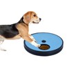 Swirge 3 in 1 Rotatable Dog Scratch Board with Food
