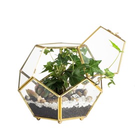 NCYP 5.9inches Gold Brass Glass Geometric Terrarium Planter with Door and Foot, Pentagon Ball Shape Close Flower Pot for Fern Succulents Plants, Small Display Box (No Plants)