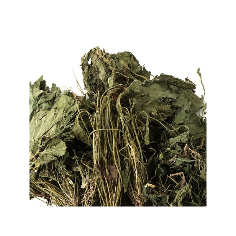 Dongui Hanjae Domestic Dried Violet Jahwajung 300g / 동의한재 국산