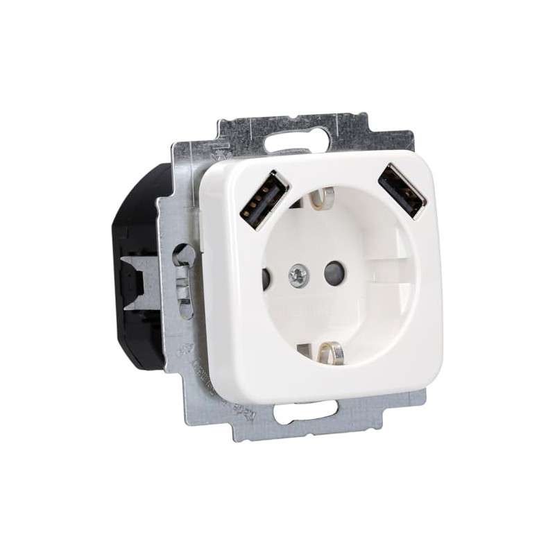 Busch-Jaeger 20 EUCB2USB-214 Schuko 2x USB Sockets Alpine White 2CKA002011A6264