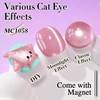Double Rhythm 0.5 OZ Cat Eye Gel Polish with Magnet
