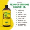 Pure Cold Pressed Castor Oil - Big 32 fl oz