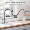 FORIOUS Kitchen Faucets, Chrome Kitchen Faucet with Pull Down Sprayer,