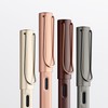 Lamy Lx series Fountain Pen