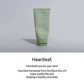 Abib] Acne foam cleanser Heartleaf foam 150ml