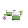 Pranarom Aroma Force Cream 2.8 fl oz (80 ml)