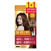 Elastine Salon de Color Hair Dye 2 packs (natural brown) / 엘라스틴 살롱드컬러 염모제 2입 (자연갈색)