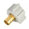 EFIELD 2 PCS 1/2" PEX X 1/2" FEMALE NPT THREADED