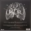 Lungs [Vinyl]