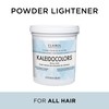 Clairol Professional Kaleidocolors Neutral Tub, 8 oz