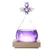 Joyzan Storm Glass Weather Predictor, Predicting Forecaster Glass Barometer Water