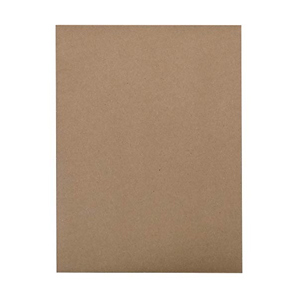 Quality Park 100% Recycled Kraft Catalog Envelope, 9 inches x 12inches, Kraft, Redi-Strip, 100 Count (44511)