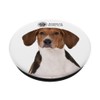 AKC Treeing Walker Coonhound Photo PopSocket