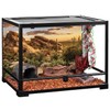 AWERT Reptile Habitat Background Blue Sky Oasis Cactus Sun and