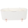 ULTECHNOVO Cotton Swabs Container with Lid Compartment Makeup Organizer Storage