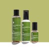 benton [Benton] Deep green tea 3-piece set (toner 150mL +