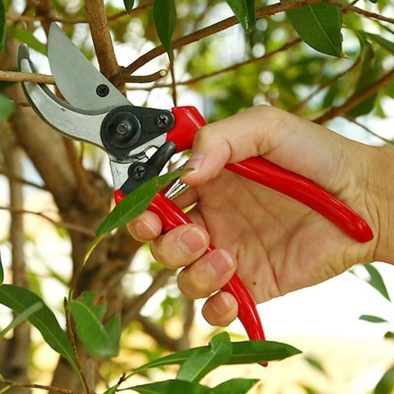 Professional Grade Bypass Pruner - Heavy Duty Gardening Shears with