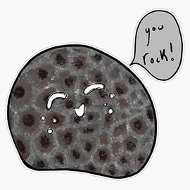 Cute Smiling Petoskey Stone Vinyl Bumper Sticker Size 5"