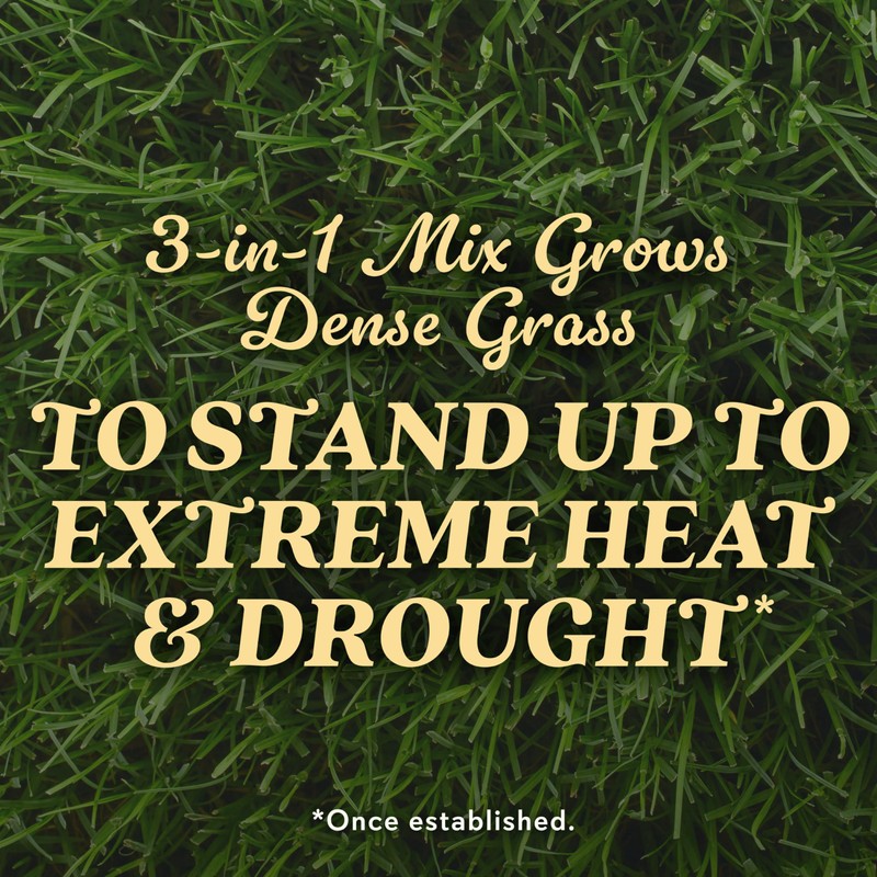 O.M. Scott and Sons Bermudagrass Grass Seed, Fertilizer and Soil