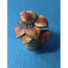 SMA 1:12 Dollhouse Miniature Coleus House Plant Kit DI P114