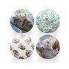 4 x Round Koala Bear Coasters - Animals Wild Women