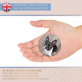 Destination Vinyl ltd Magnet for Refrigerator, Fridge - Cute Boston Terrier Dog Puppy for Office, Cabinet and Whiteboard, Magnetic Stickers, 16617