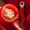 Lucchetta - Small Gold Red Chilli Pepper Pendant | Lucky