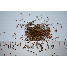 AQUATICBLENDEDFOODS ABF COLOR & GROW SMALL FLOATING & SINKING SUPER MIX,Betta,Fish Food,ABF122 - 6oz