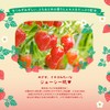 Rururun Face Mask Pack, Tochigi Rururun (Tochiotome Scent), 7 Sheets