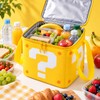 Insulated Lunch Bag for Food & Drink Storage – Large